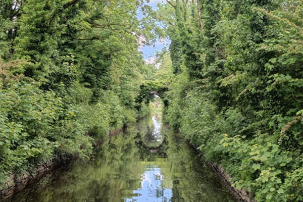 Cruising the the Lough Allen Canal