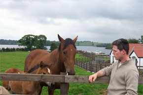 Horse whispering at Swan Island on the Shannon/Erne Waterway.