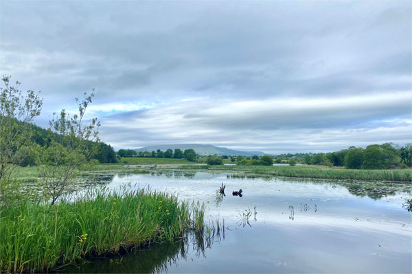 Cruising from Banagher