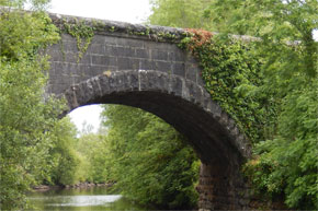 Shannon Boat Hire Gallery - Mossy bridge