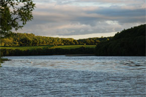 Shannon Boat Hire Gallery - The grass is greener on the other side