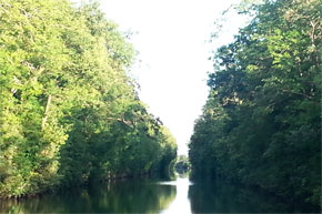 Shannon Boat Hire Gallery - A long canal