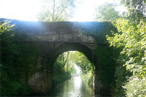 A beautiful bridge