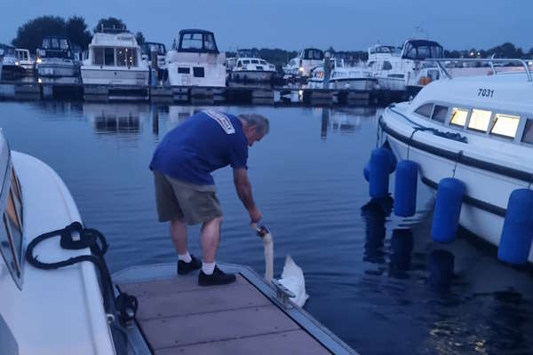 Shannon Boat Hire Gallery - Gimme your bread!