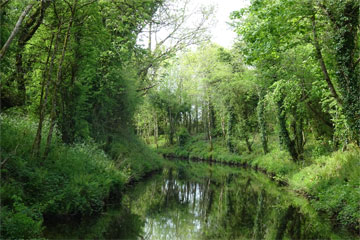 Shannon Boat Hire Gallery - Cruising the Canal