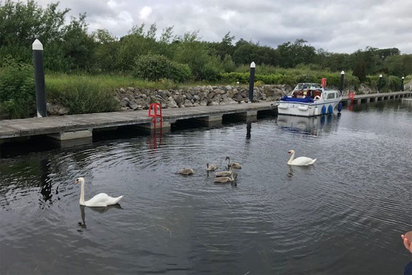 Shannon Boat Hire Gallery - Ugly Ducklings