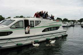 Shannon Boat Hire Gallery - Swans & signets visiting a Magnifique at Carrick-on-Shannon.