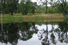 Shannon Boat Hire Gallery - Cruising the still waters of the Lough Allen Canal