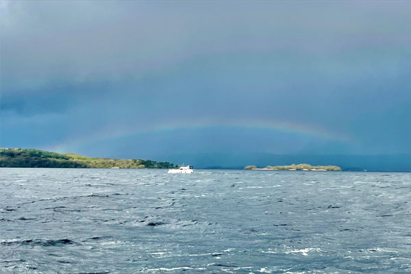 Shannon Boat Hire Gallery - Searching for the crock of gold