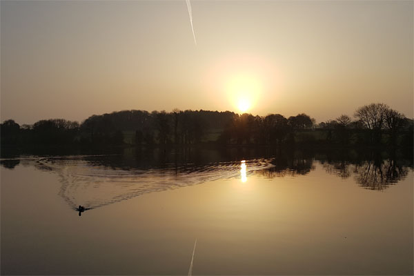 Shannon Boat Hire Gallery - A beautiful sunset on the Shannon