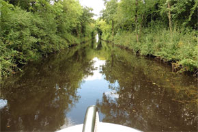 Shannon Boat Hire Gallery - Cruising the Lough Allen Canal