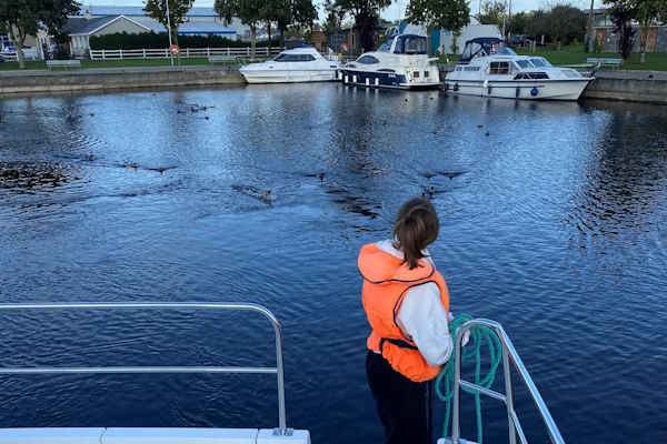 Shannon Boat Hire Gallery - Mooring on a Classique