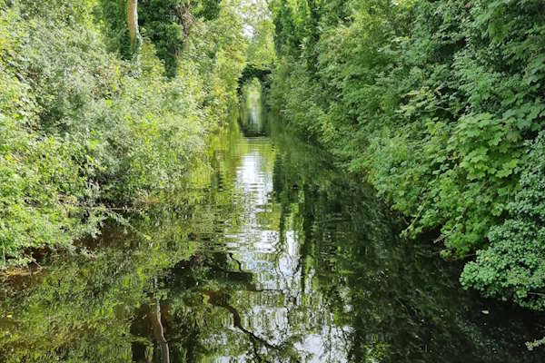 Cruising the Camlin River