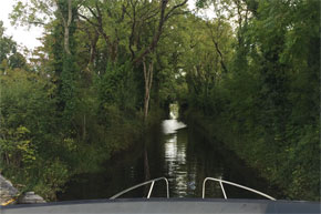 Cruising the on a Consul