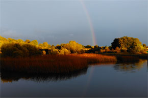 Somewhere, over this rainbow...