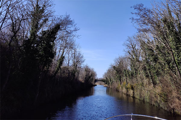 Shannon Boat Hire Gallery - Cruising