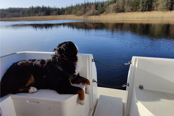 Shannon Boat Hire Gallery - Watching the world go by