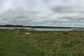 Shannon Boat Hire Gallery - Panoramic view of boats moored near Clonmacnoise