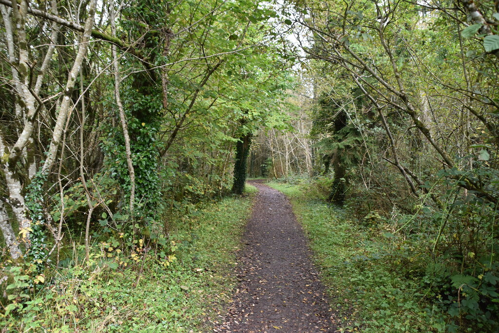 One of the many walking trails you can visit at Castle Archdale from your hire boat.