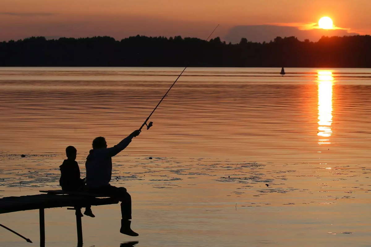 Fishing and Angling the Shannon River - Boat Hire Holiday Guide