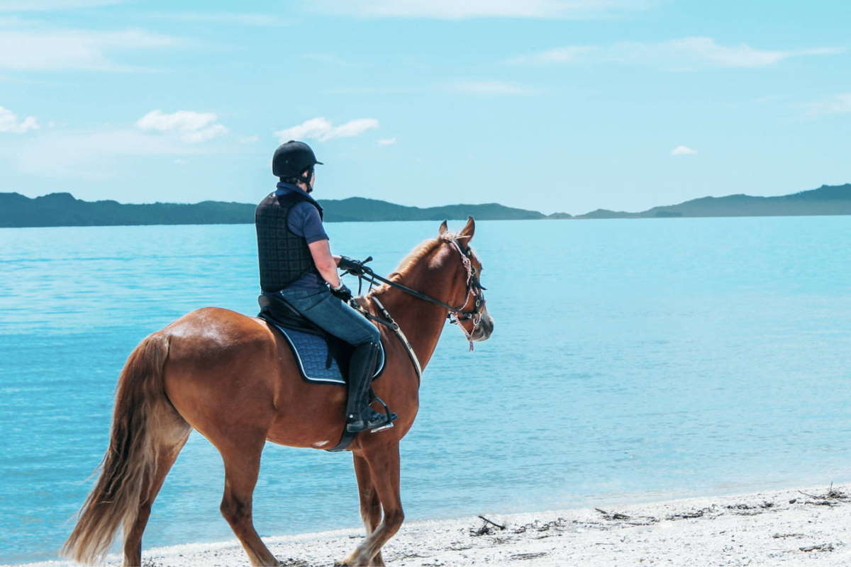 Equestrian centres for boat hire on the Shannon