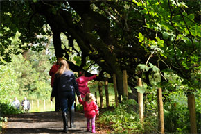 Walking the gardens at Castle Coole