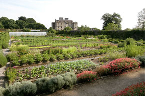 The grounds of Portumna Castle on the Shannon River