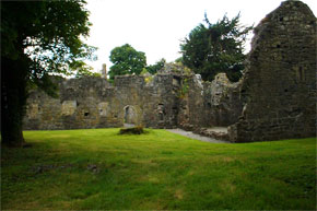 The ruins of a Dominican Priory in Portumna Forest Park