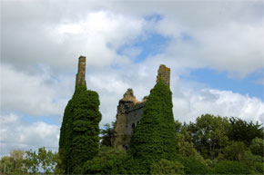 Ancient ruins near Dromineer Harbour