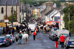 The Banagher horse fair