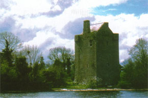 Cloongogough Castle on Lough Derg